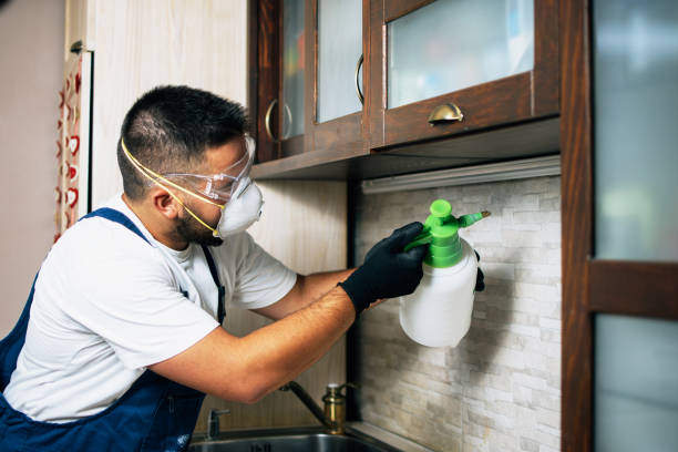 Best Pest Control Near Me  in Centreville, MI