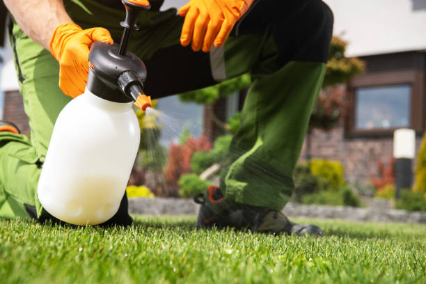 Best Commercial Pest Control Services  in Centreville, MI