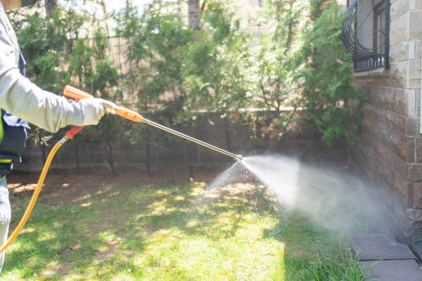 Best Wasp Removal Services  in Centreville, MI