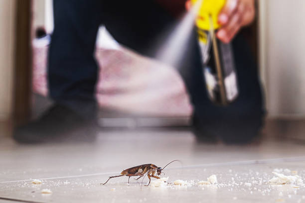 Professional Pest Control in Centreville, MI