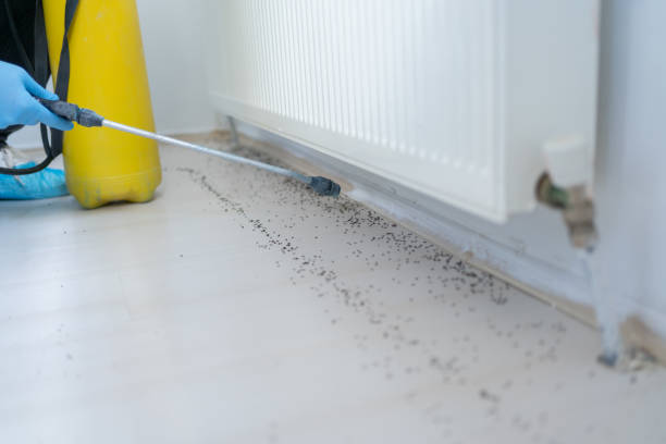 Best Pest Removal Services  in Centreville, MI