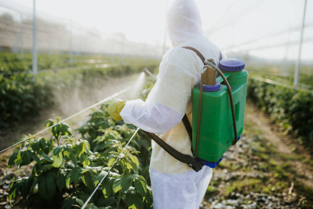 Best Affordable Exterminators  in Centreville, MI